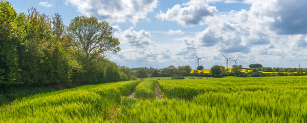 windmills behind a field on a sunny day