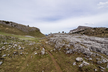 Fototapeta na wymiar Vercors landscape, Combeau valley, ibex, Mont Aiguille, flowers and shepherd's hut 