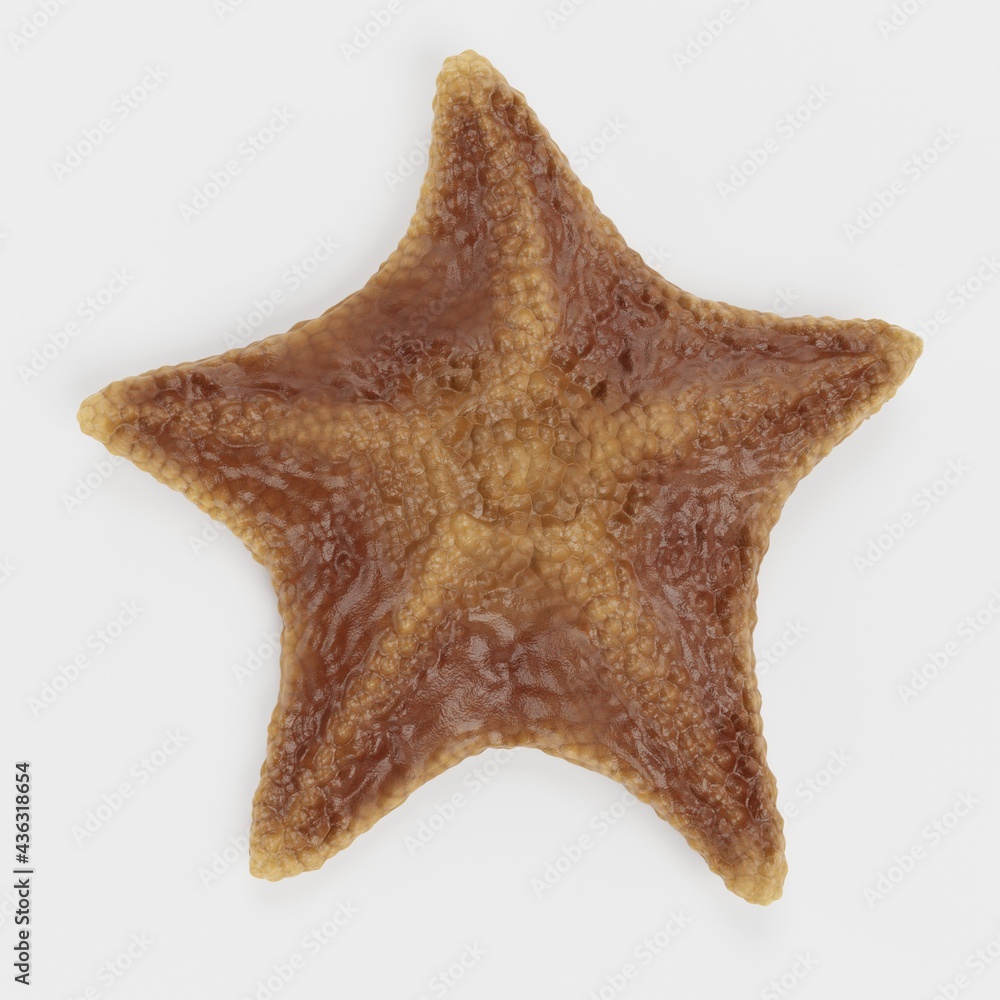 Wall mural Realistic 3D Render of Bat Starfish