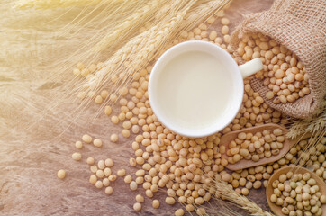 Obraz na płótnie Canvas Top view of fresh homemade soybean milk in soft yellow cup on organic soybean seeds and grunge background in morning time in soft light tone