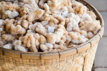 Dry organic brown cotton flower in wooden basket after harvested from the farm ready for cloth or fabric production
