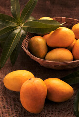 Mango fruits in wooden basket with leaf after harvest from farm, Mango fruits with leaf on Jute background.