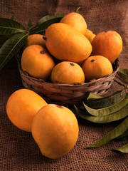 Mango fruits in wooden basket with leaf after harvest from farm, Mango fruits with leaf on Jute...
