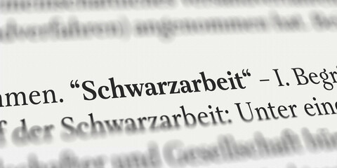 Schwarzarbeit im Buch