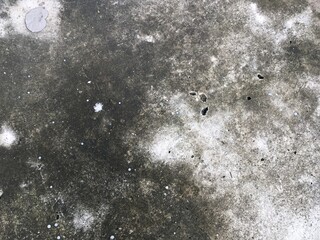 rain drops on the ground