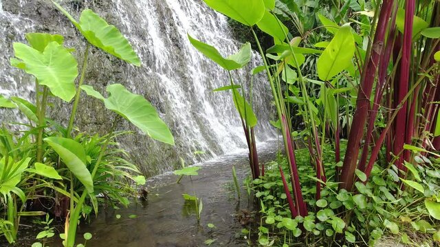 Beautiful waterfall feature at  Namtok Wang Ta Krai nature park in Nakhon Nayok, Thailand.