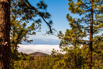 Mar de nubes en el Parque Nacional del Teide