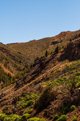Fototapeta na wymiar Formación rocosa en el Parque Nacional del Teide