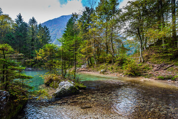 Autumn forest in a mountain valle