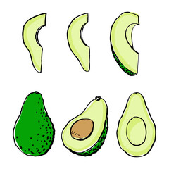 Set with avocado. Hand drawn vector illustration. Whole, half and sliced avocado on white background.