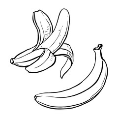 Set of hand drawn bananas on white background. Whole and open banana in hand drawn style.