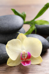 Fototapeta na wymiar Spa stones, beautiful orchid flower and bamboo sprout on wooden table, closeup