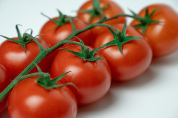 Red tomatoes on branch on a white background