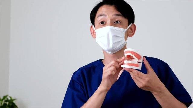 歯の模型を使って説明する歯科医師