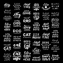Pet adoption phrase black and white poster. Inspirational quotes about domestical pets adoption. Hand written phrases for poster, cat and dog adoption lettering. Adopt a pet.