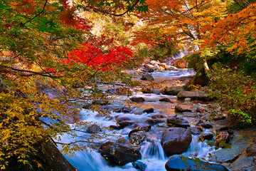 秋の渓谷（山形）
