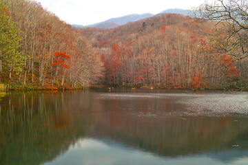 晩秋の裏磐梯高原（福島県）
