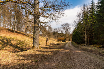 Spring hike through the Josefslust wildlife park near Sigmaringen