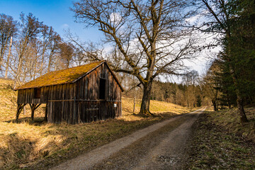 Spring hike through the Josefslust wildlife park near Sigmaringen