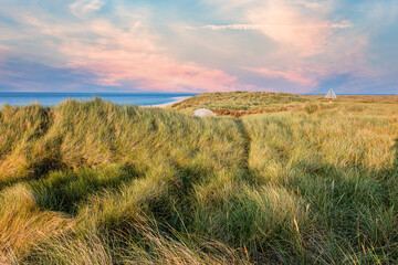 Dune avec herbe de plage au premier plan. L& 39 île de Sylt.