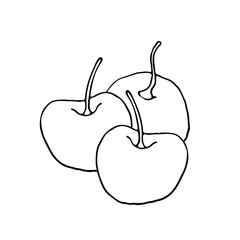 Cherry. Fruit illustration for farm market menu, recipe, summer menu, invitations, posters, stickers and seasonal design. Isolated on white background. 