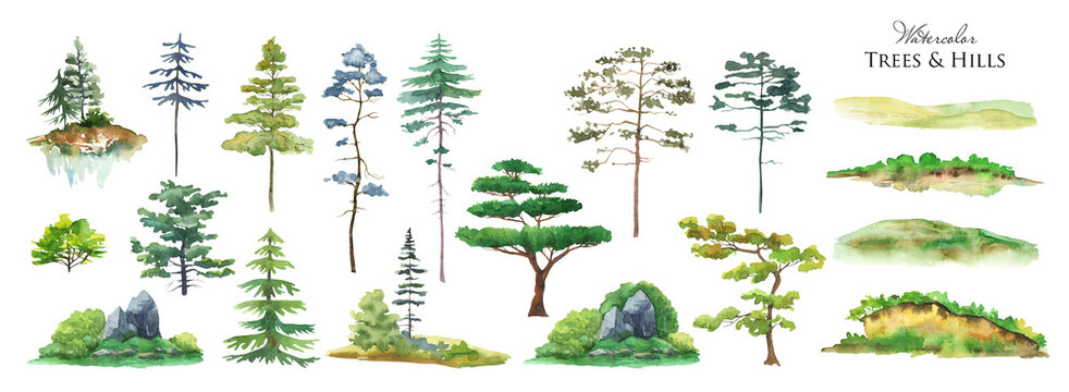 Watercolor tree set. Green pine, blue spruce, green hills, island meadow