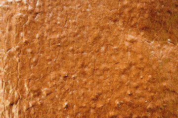 Wall covered with cracked paint, close up view