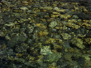 Mountain river