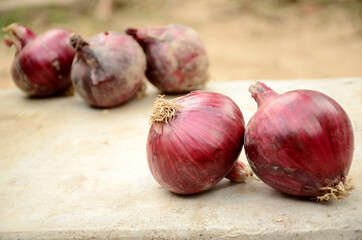 the ripe purple onion on the over out of grey brown background.