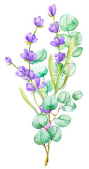 A bouquet of green eucalyptus leaves and lilac lavender. Watercolor illustration