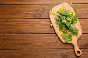 Celandine with board on wooden table, top view. Space for text