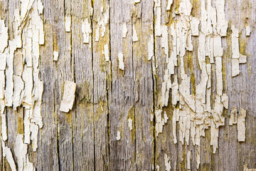 Old wooden wall with cracked paint, close up view