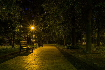 The tiled road in the night green park with lanterns in spring. A benches in the park during the...