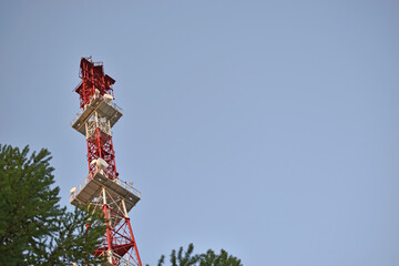 TV tower antenna with tree and TV center building