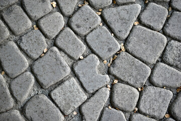 Stone-paved path close-up in the evening with tree seeds