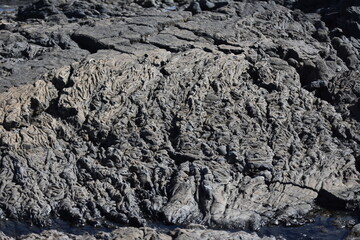 the waves of the sea demonstrate their power