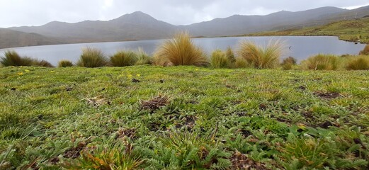 lake in the mountains