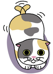 おしりを振って獲物を狙う三毛猫