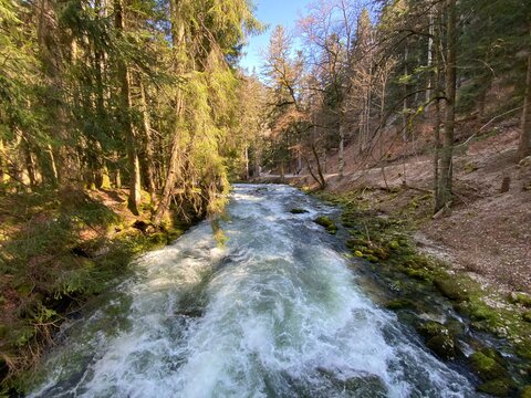 The course of the river Orbe between the cave or spring and the settlement of Vallorbe (der Fluss Orbe or le fleuve de l'Orbe), Vallorbe - Canton of Vaud, Switzerland (Kanton Waadt, Schweiz)
