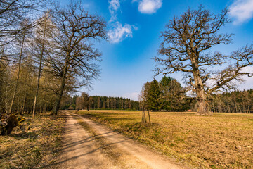 Spring hike through the Josefslust wildlife park near Sigmaringen