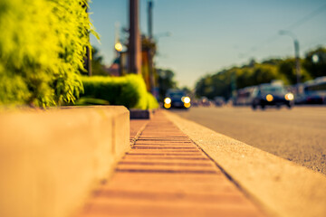 Clear day in the big city, a city street near the park with moving cars on it. View from the border level