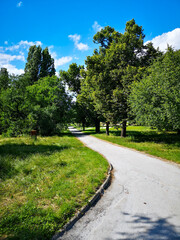 Fototapeta na wymiar Short path between bushes and trees in small park