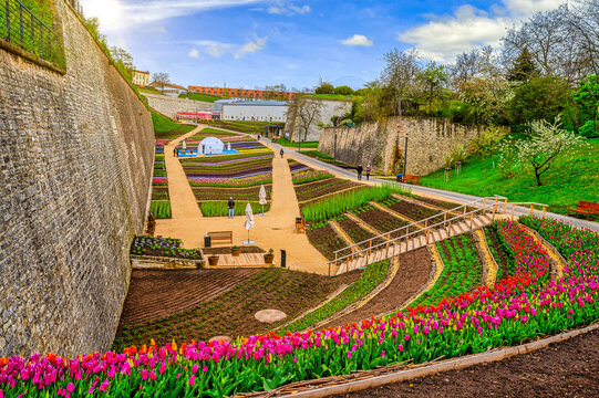 Bundesgartenschau 2021 in Erfurt.