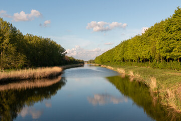 Fototapeta na wymiar A beautiful waterway through a Dutch forest