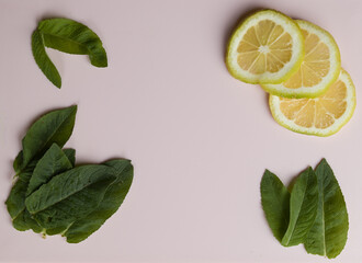 lemon slices and mint leaves