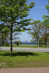 Fototapeta na wymiar Reidi tee road in Tallinn with a view to the Baltic sea. Green trees and blue sky on a sunny summer day.