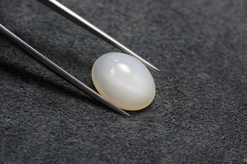 Natural milky light gray color opaque oval cabochon shaped moonstone polished gemstone setting for making jewelry. Mined in India, polished in Thailand. Hold in tweezers. Gemology theme, lapidary. - obrazy, fototapety, plakaty