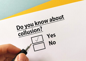 Questionnaire about auction