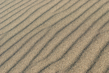 Naklejka premium Wind traces on the surface of a sand dune. Dark and light stripes.