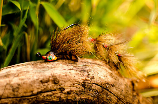 Mouche pour la p&ecirc;che du carnassier